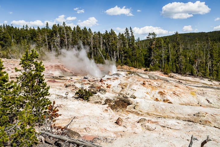 Norris Geyser Basin
